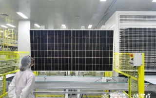 爱康新能源科技有限公司 “光伏配件第一股”被罚1200万元，实控人终身禁入证券市场