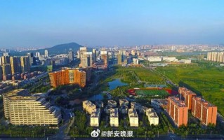 合肥安丰科技 江苏安丰：开创新科技农业，1年经济效益高达几个亿！