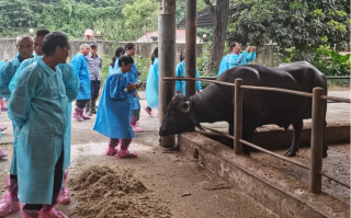 广东水牛科技 自治区水牛研究所2名科技骨干被评为2021年优秀乡村科技特派员