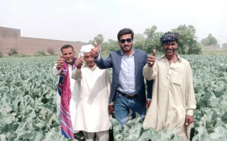 天隆科技出口 中国故事｜“中国种”在异国开出“致富花”