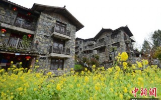 备宿科技 看山望水寄乡愁：重庆如何“宿”造乡村未来？