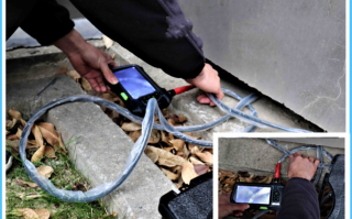 派搜科技 “寻宠侦探”，收费高但不靠谱的多