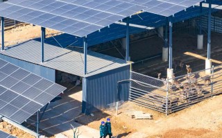 山东为农信息科技 山东兰陵：光伏绿电绘就“农光互补”智慧农业新图景