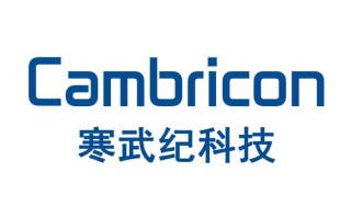 寒武纪信息科技 一天吃透一家上市科技公司：寒武纪