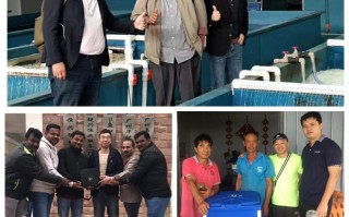 奥鱼科技 青岛故事牛！澳大利亚人来青学习澳“国宝鱼”育种技术！墨瑞鳕鱼实现国产替代